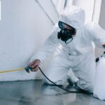 Why General Pest Control Services Are Essential for Every Property