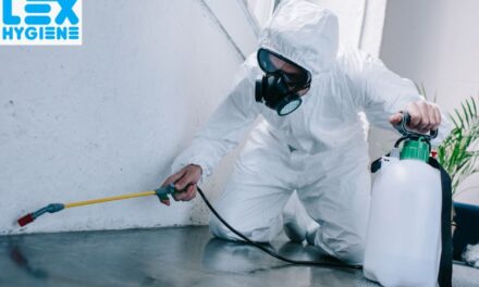 Why General Pest Control Services Are Essential for Every Property