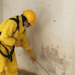 Unlocking Business Security: Premier Pest Control Services Delhi for Commercial Success