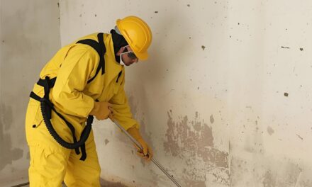 Unlocking Business Security: Premier Pest Control Services Delhi for Commercial Success