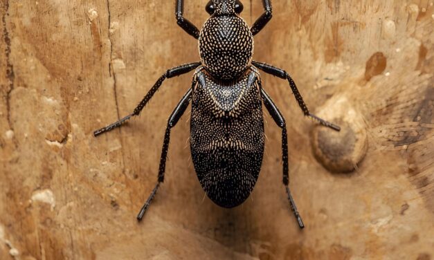 Unlocking the Benefits of Integrated Pest Management: A Comprehensive Guide to Sustainable Pest Control