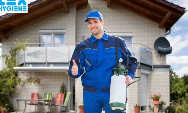 Mastering Pest Control: Your Comprehensive Guide on How to Choose the Right Pest Control Service and Implement Effective Pest Prevention Strategies for Offices