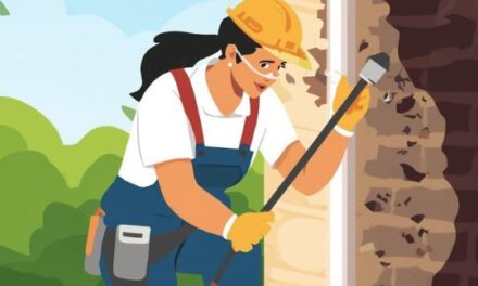 Secure Your Sanctuary: The Essential Guide to Professional Termite Control Services