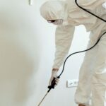 How to Choose the Best Termite Control Service: Your Expert Guide to Professional Termite Treatment