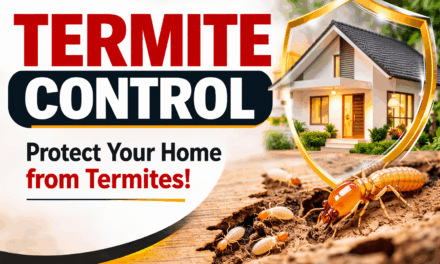 The Ultimate Guide to Residential Termite Control: Protecting Your Home from Silent Destroyers