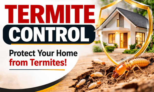 The Ultimate Guide to Residential Termite Control: Protecting Your Home from Silent Destroyers