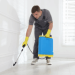 Effective Bed Bug Control: How to Get Rid of Bed Bugs in Delhi with Professional Treatment