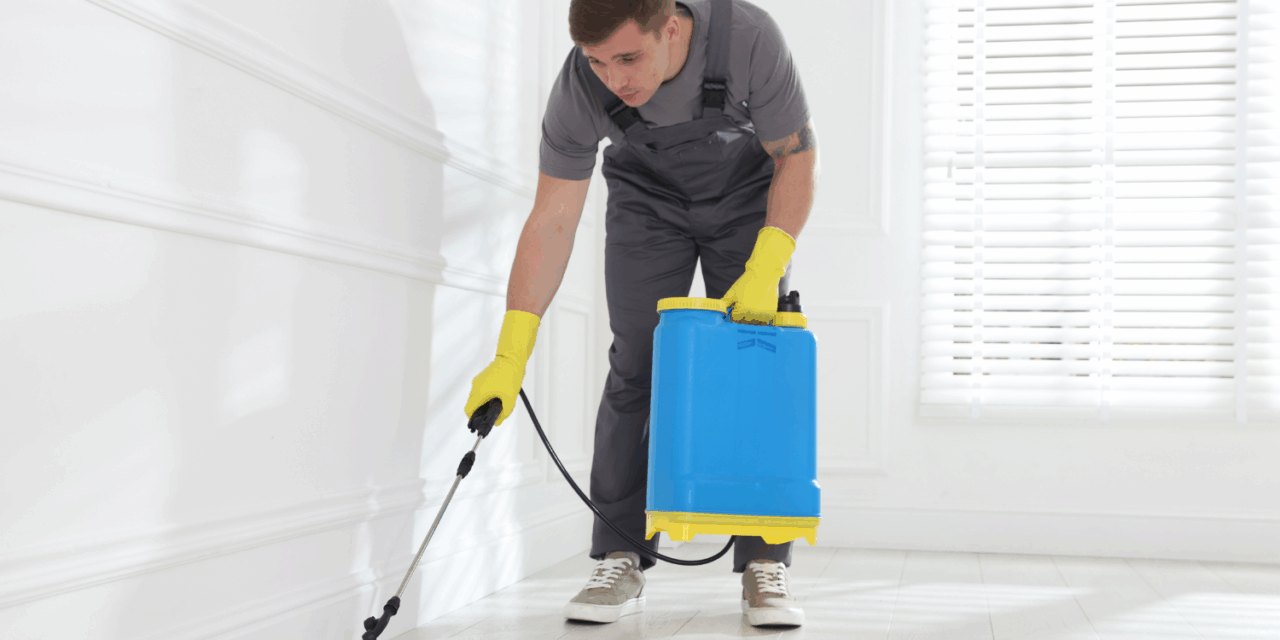 Understanding the Types of Termites in Noida: Key Signs and Early Detection Strategies