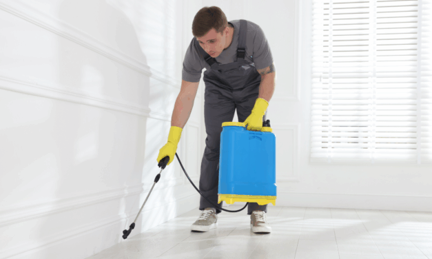 Understanding the Types of Termites in Noida: Key Signs and Early Detection Strategies