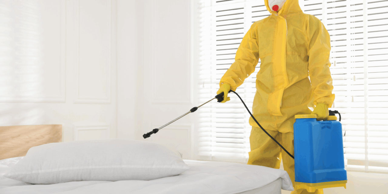 The Ultimate Guide to Professional Mosquito Pest Control: Solutions for Delhi NCR & Beyond