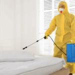 The Ultimate Guide to Professional Mosquito Pest Control: Solutions for Delhi NCR & Beyond