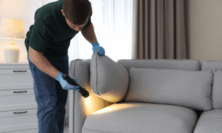 The Ultimate Guide to Post Construction Termite Treatment and Termite Proofing Existing Buildings