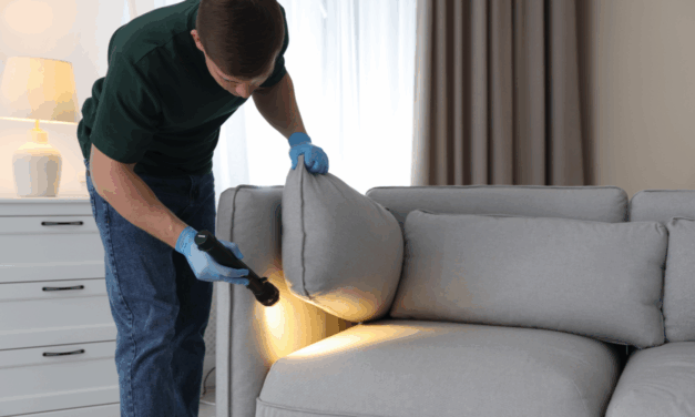 The Ultimate Guide to Post Construction Termite Treatment and Termite Proofing Existing Buildings